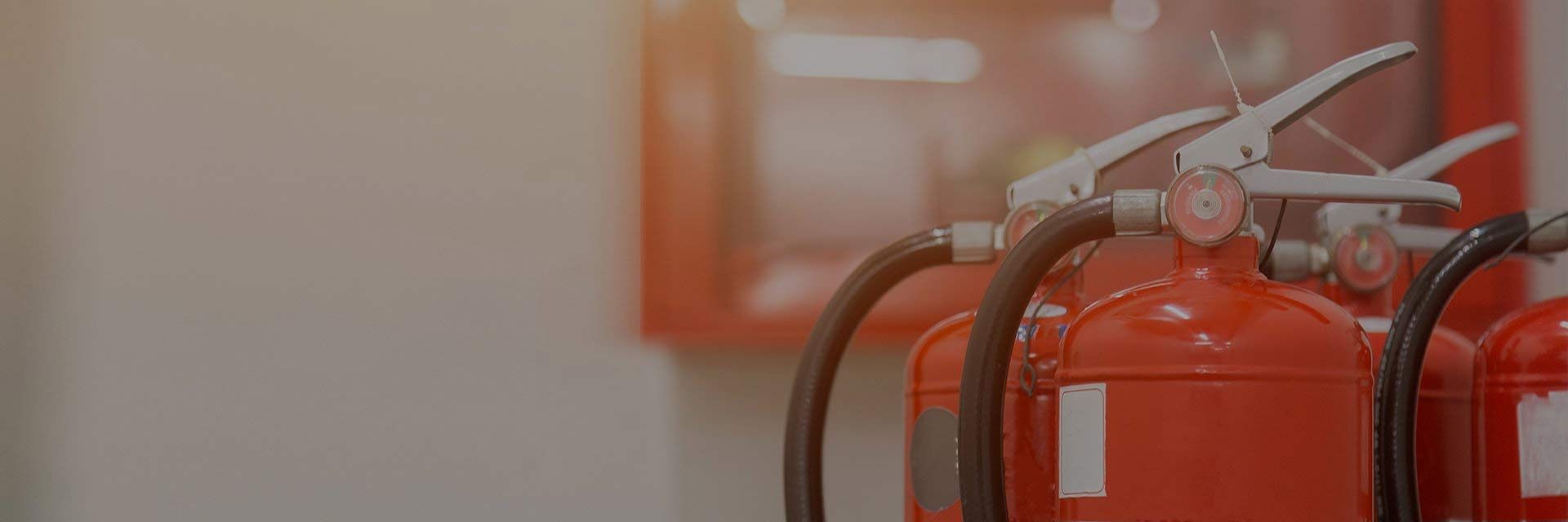 Proje Tasarım ve Danışmanlık 